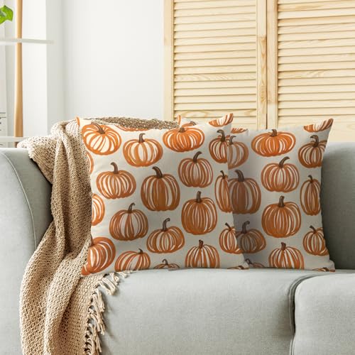 Fall Thanksgiving Pillow Covers Set of 2 - 18x18 Burnt Orange Pumpkin