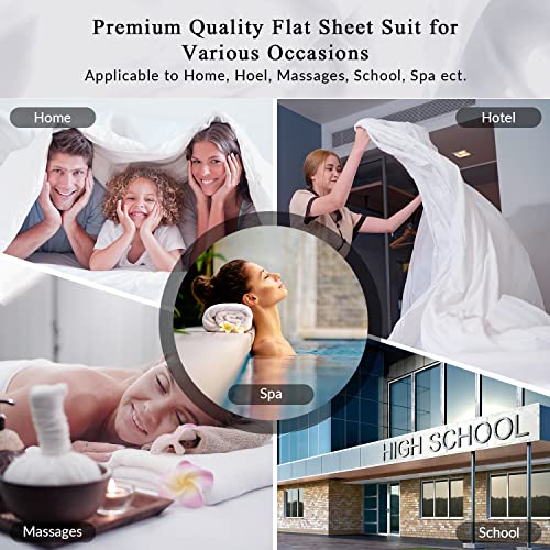 Royale Linens Queen Flat Sheet - Ultra Soft Microfiber, Wrinkle Free