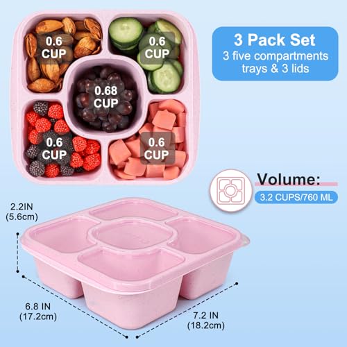 Caperci 5-Compartment Bento Snack Containers, Reusable Wheat Straw, 3-Pack