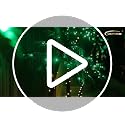 8FT Artificial Lighted Palm Tree with 256 LEDs Green & Warm White - Outdoor Decor