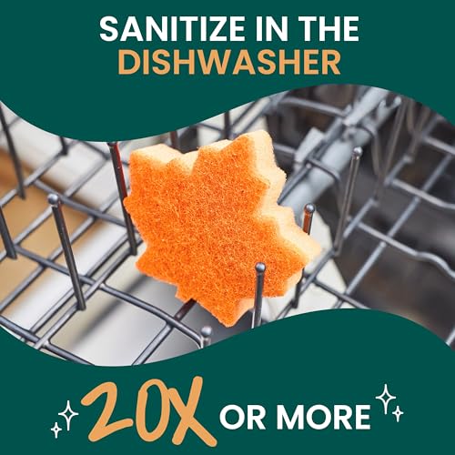 Scotch-Brite Leafy Clean Scrub Sponge - Two-Sided Kitchen Cleaning Tool