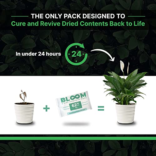 Herb Guard 62% Humidity Control Packs - 8g (10 Pack) for Fresh Herbs