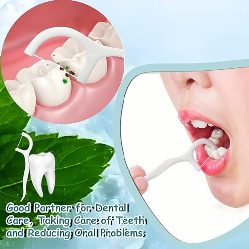 Demiya Travel Floss Picks 160 Count with 4 Mini Cases Unflavored Dental