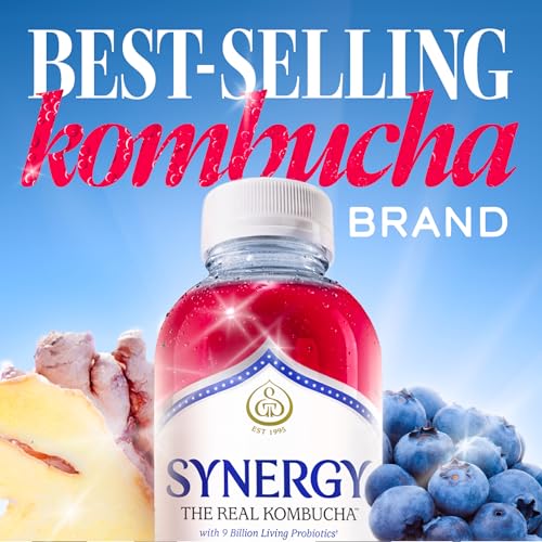 SYNERGY Gingerberry Kombucha - 16 fl oz Raw Probiotic Drink