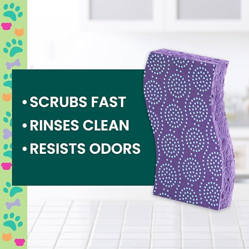 Scotch-Brite Odor Resist Non-Scratch Scrub Sponges, 2 Pack