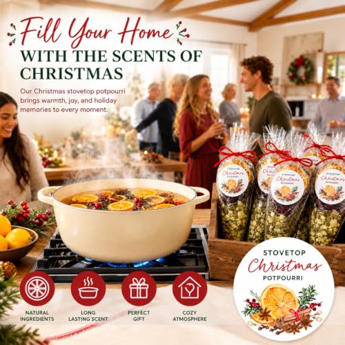 6 Pcs Christmas Potpourri Simmer Pot Mix - Holiday Aromatherapy Gift Set Variation 6