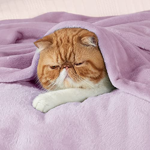 Bedsure Light Purple Throw Blanket - 50" x 60" Cozy Microfiber