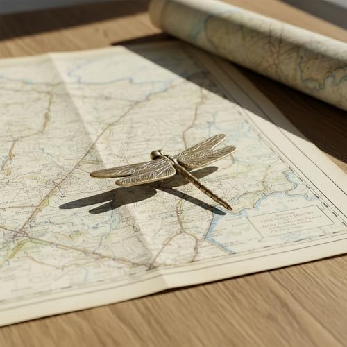 Tucnoeu 2-Piece Brass Dragonfly Figurine Set, Vintage Metal Desk Ornament