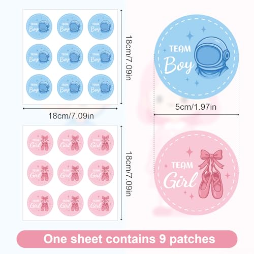 54pcs Gender Reveal Stickers - Team Boy or Girl Round Stickers