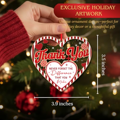 Thank You Appreciation Ornament 2025 - Holiday Gift for Teacher Coworker Boss Friend