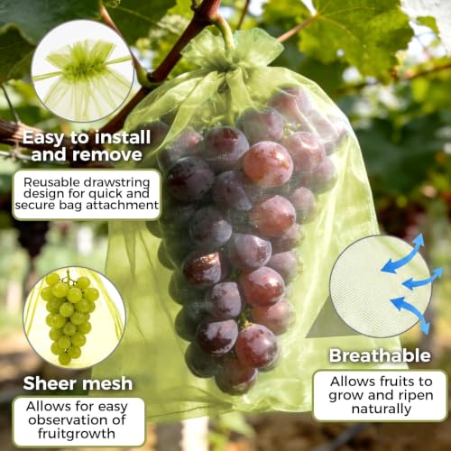 Sukh 6"x8" Fruit Protection Bags - 50 Pack Organza Mesh Netting Covers