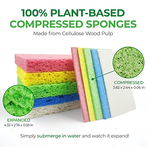 AIRNEX Compressed Cellulose Sponges - 16 Pack Natural Non-Scratch Dish Sponge