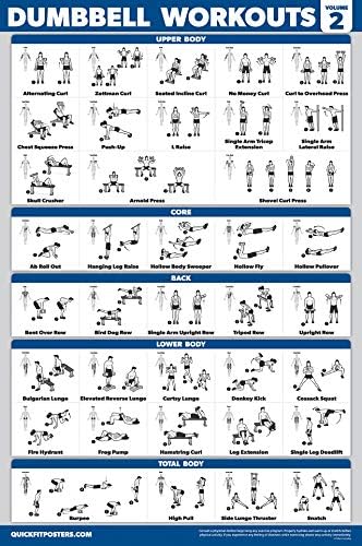 Palace Learning Dumbbell Workout Posters Set - 4 Pack with Resistance Bands Exercise Chart