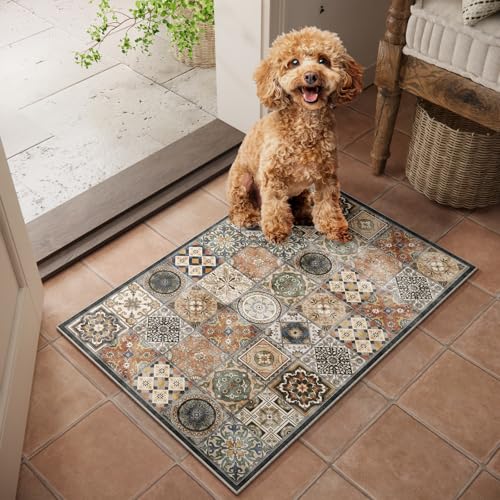 NoiFamo 2x3 Washable Area Rug, Boho Non-Slip Low Pile Entryway Door Mat