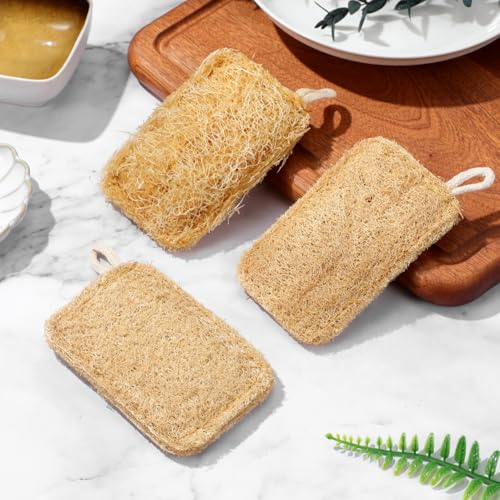 Natural Loofah Dish Washing Brush - Eco-Friendly Kitchen Scrubber