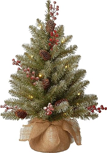 2ft Pre-Lit Artificial Christmas Tree with Flocked Branches and LED Lights