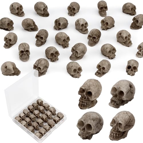 24 PCS Mini Skull Heads - Realistic Resin Figurines for Halloween Decor