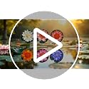 Set of 6 Realistic Floating Lotus Flowers with Lily Pads