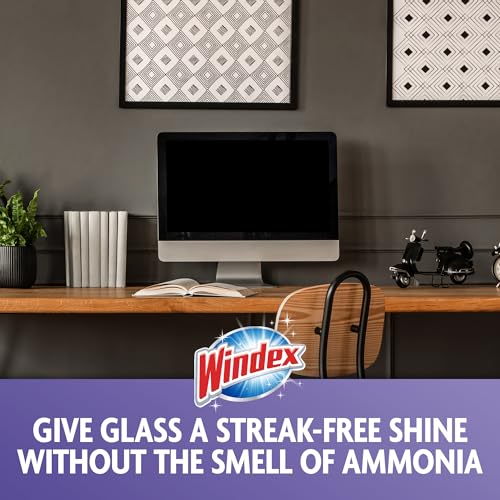 Windex Ammonia-Free Glass and Window Cleaning Wipes, 25 Count - Pack of 1, Streak-Free Surface Cleaner