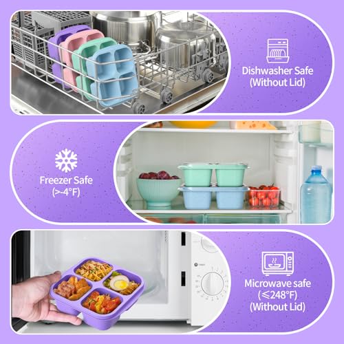 Bento Snack Containers 4-Pack - 4-Compartment Meal Prep in Green, Blue, Purple