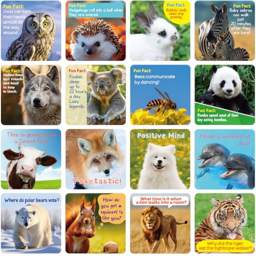 90 Pack Lunch Box Notes for Kids - Animal Jokes, Fun Facts & Encouragement