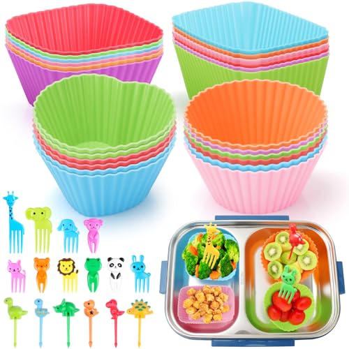Kids Silicone Lunch Box Dividers Set with Food Picks & Cupcake Liners