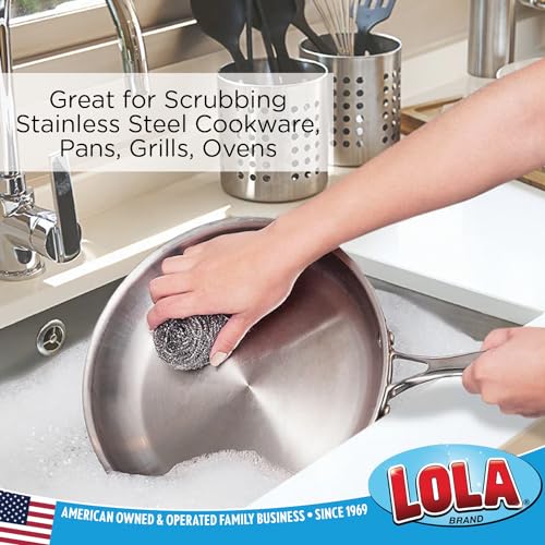 Stainless Steel Wool Scouring Pads 2-Pack for Heavy Duty Kitchen Cleaning
