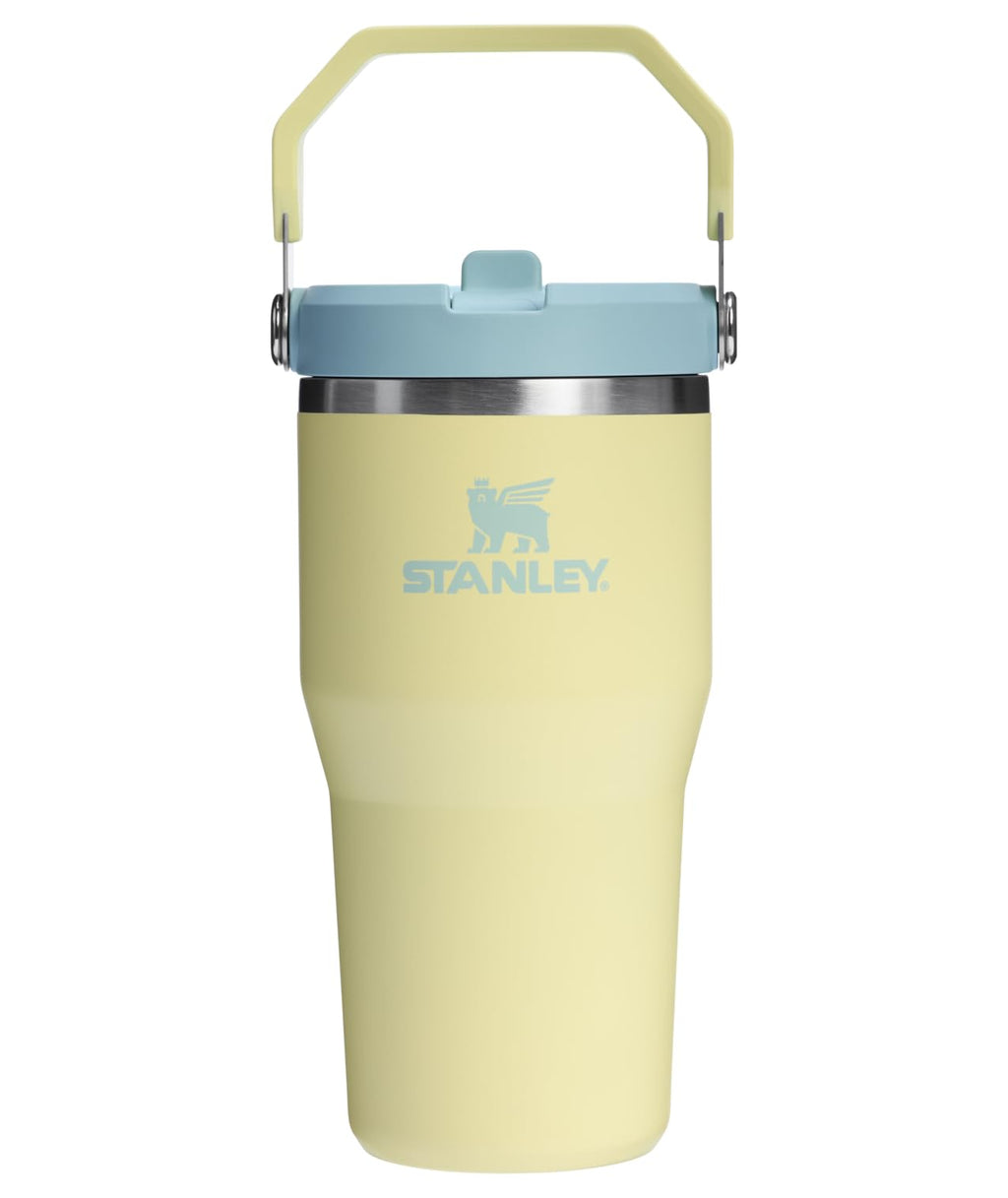 Stanley IceFlow 2.0 Flip Straw Tumbler with Handle 20 oz | Twist On Lid and Flip Up Straw | Leak Resistant Water Bottle | Insulated Stainless Steel | BPA-Free | Pomelo