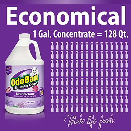 OdoBan Disinfectant Concentrate and Odor Eliminator, Lavender, 1 Gallon