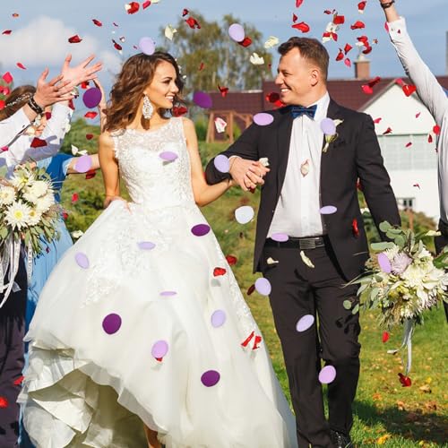 200Pcs Purple & White Silk Rose Petals for Weddings & Decor