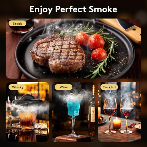SUNCHARM Electric Cocktail Smoker Kit with 6 Wood Chip Flavors & USB Charger