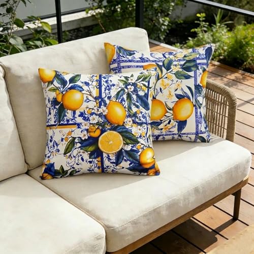 Outdoor Waterproof Pillow Covers Set of 2 18x18 Inch Boho Farmhouse Cushion Cases