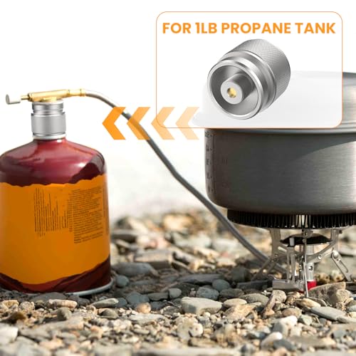 2 Pcs Camping Stove Adapter, LPG Canister Adapter, 1 Lb Propane Tank Input EN417 Lindal Valve Output Propane to Butane Adapter for Backpacking Stove Portable Burner Heater (Silver)