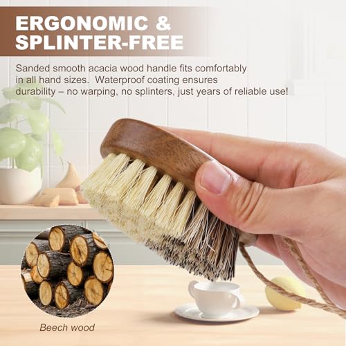 DEBETOOL 2-Pack Wooden Vegetable Brush Scrubber with Dual Bristles