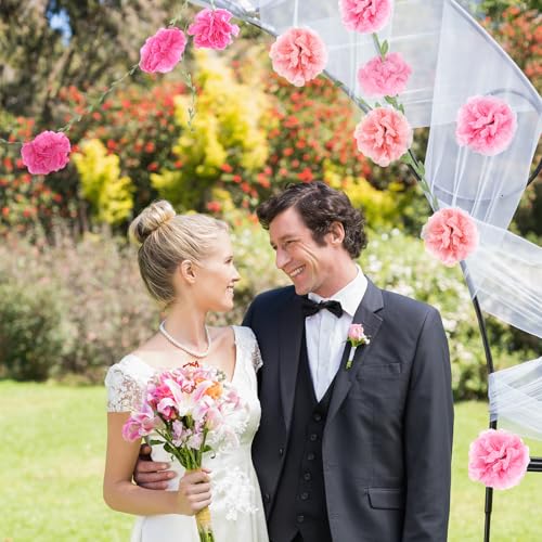 2PCS Pink Tissue Paper Pom Poms Garland for Parties & Events