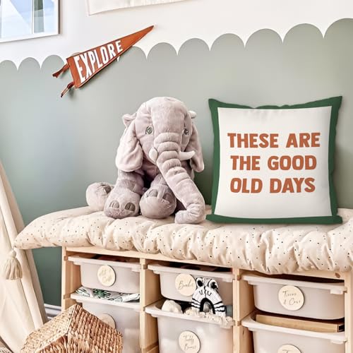 Inspirational Kids Throw Pillow Cover 18x18 - Motivational Decorative Case