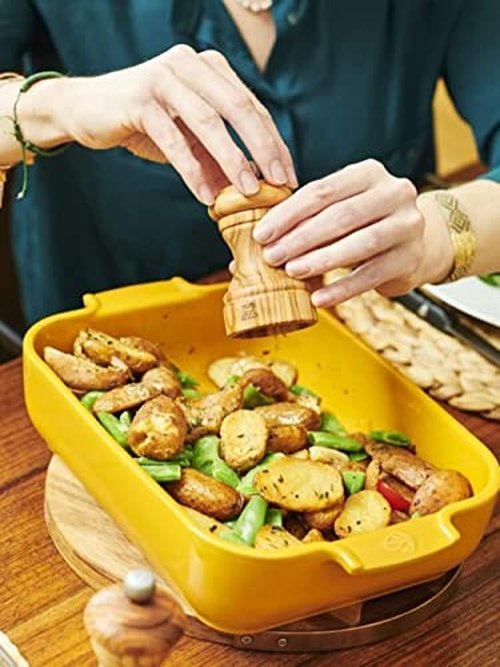 Peugeot Appolia Rectangular Baking Dish 40 cm-16in, Saffron