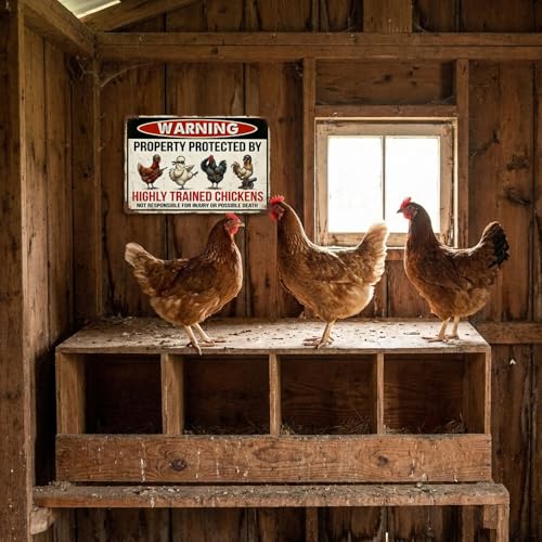 Funny Chicken Coop Decor - Highly Trained Chickens Tin Sign 8x12