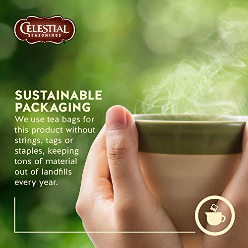 Celestial Seasonings Sleepytime Herbal Tea 20 Count - Caffeine Free, Pack of 1