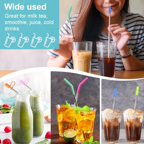 6-Piece Reusable Stainless Steel Straw Set with Silicone Tips & Case - Silver