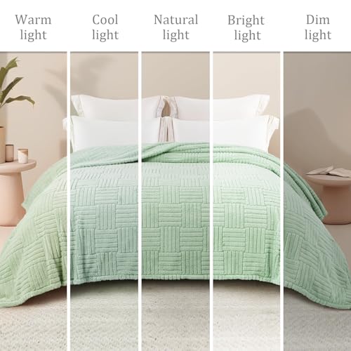 Whale Flotilla Sage Green Fleece Throw Blanket - 50x60 Inch Cozy Soft Blanket with Jacquard Pattern
