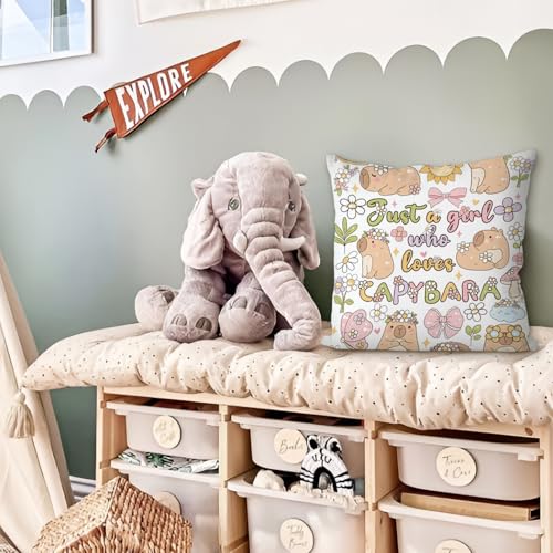 Capybara Motivational Throw Pillow Cover 18x18, Soft Kids Bedroom Decor