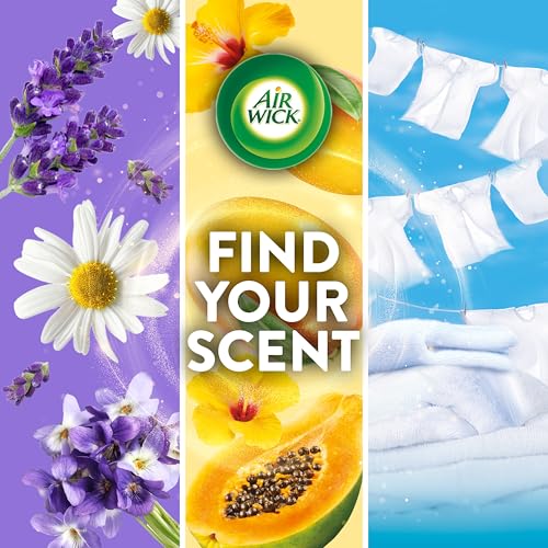Air Wick Plug-In Scented Oil Refills - Lush Honeysuckle & Raspberry, 6 Count