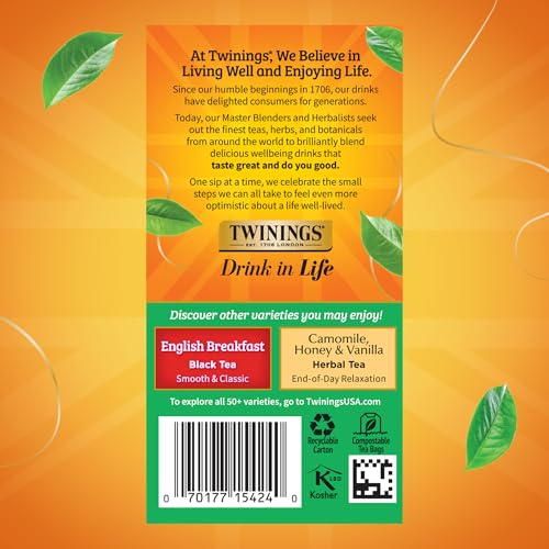 Twinings Irish Breakfast Black Tea Bags, 20 Count (Pack of 6)
