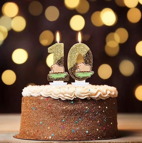 Capybara Birthday Candle Number 10 - Cute Cake Decoration