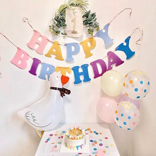 Happy Birthday Banner - Pre-Strung Party Decoration for All Ages