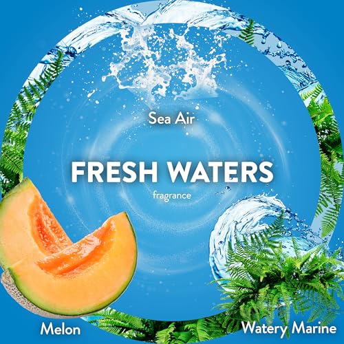 Air Wick Fresh Waters Scented Oil Refills - 0.67 Fl Oz (Pack of 4)