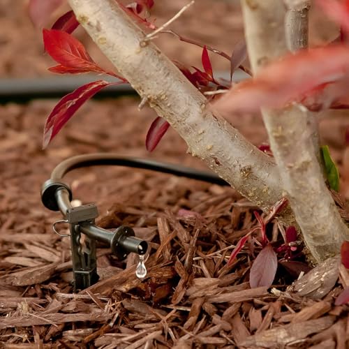 Rain Bird 1/4" Drip Irrigation Stakes with Bug Cap - 10-Pack