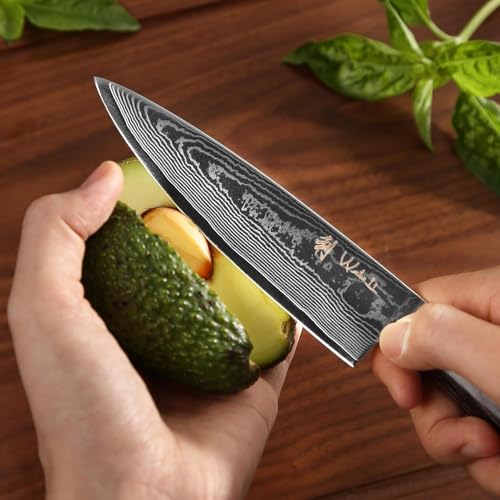 Wakoli Damascus Chef Knife Set 2-Piece VG10 Core Kitchen Knives - Essentials Chef Sets / 2