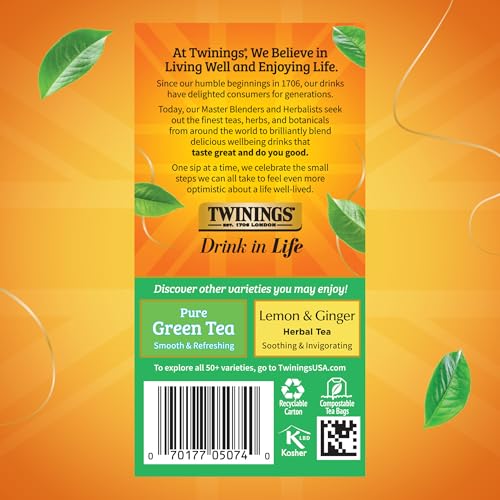 Twinings Jasmine Green Tea Bags, 20 Count, Pack of 6 (120 Total Tea Bags)